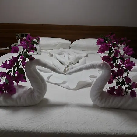 Mavi Yesil Yasam 3* Gümbet