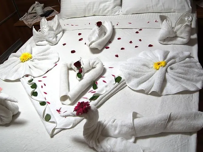 Mavi Yesil Yasam غومْبيت