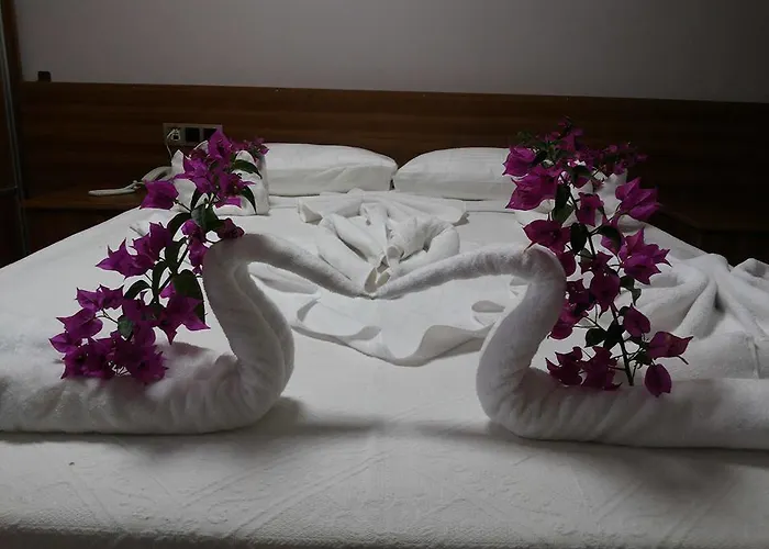 Mavi Yesil Yasam 3* غومْبيت