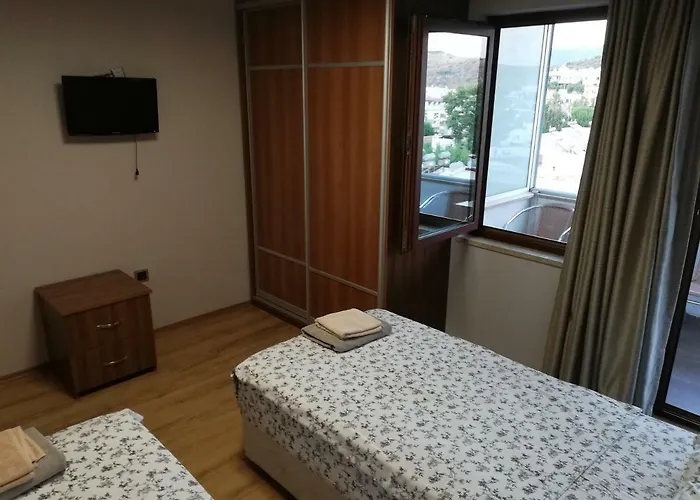 Mavi Yesil Yasam غومْبيت