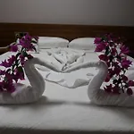 Mavi Yeşil Yaşam 3* Gümbet